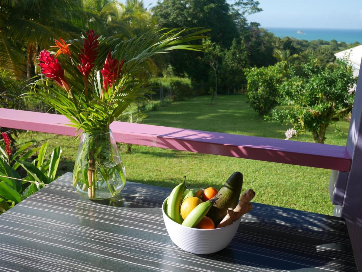 La Joupa Case Anthurium Sainte-Rose Exterior photo